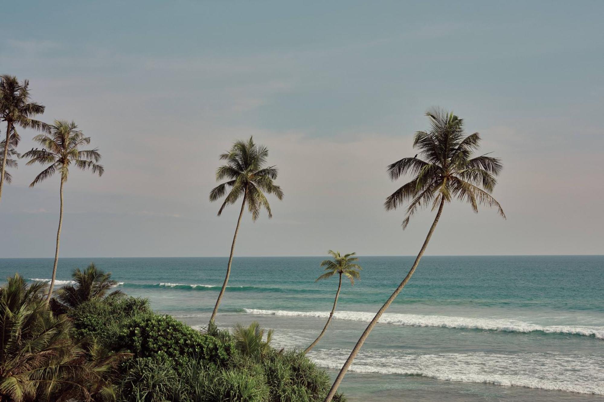 Gitano Surf Ahangama Beachfront Extérieur photo